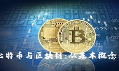 深入解析比特币与区块链：从基本概念到实际应用