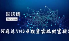 如何通过VNS币投资实现财富增值？