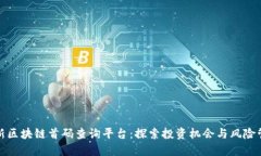 最新区块链首码查询平台：探索投资机会与风险