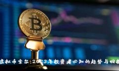 虚拟币索尔：2023年投资者必知的趋势与回报