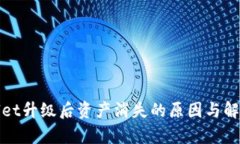 tpWallet升级后资产消失的原因与解决方案