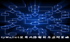 tpWallet使用风险解析与应对策略