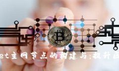 深入了解tpWallet主网节点的构建与：提升区块链效