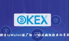 深入探索tpWallet波厂链：一场区块链技术的革新之